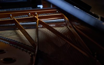 Models Shigeru Kawai Premium Grand Pianos of Japan